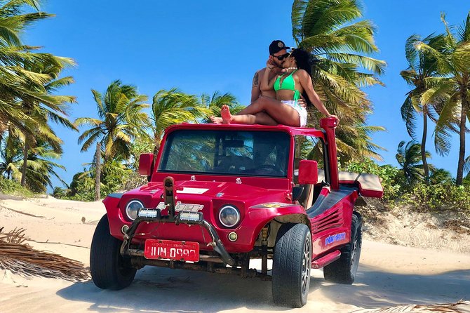Private Full Tours in jericoacoara - The itinerary flow, step by step, from the tree to the rest of Jeri