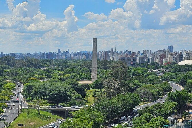 Private Half-Day Guided Tour to São Paulo - Museums and Graffiti Murals: Culture That Doesn’t Need a Ticket