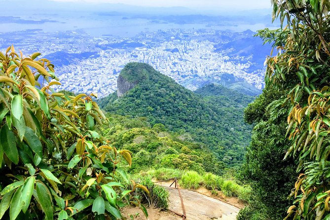 Private Hiking Tour to Tijuca Peak - Tijuca National Park - by OIR Aventura - Tijuca Peak views that make the climb feel worth it