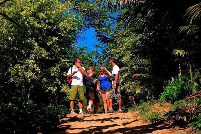 Private Jeep Tour with All Prices Included by PARATY TOURS - Cachoeira do Toboga and Poço de Tarzán: Water Time You Can Actually Enjoy