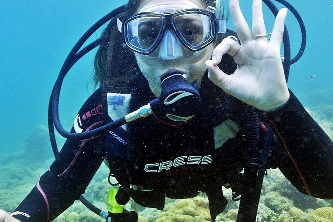 Private Program for Accredited Diver in Búzios - Key Highlights You Will Notice Fast