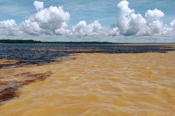Private River Tour by Speedboat in the Amazon, Lily Pads & Nature - Stop 4 and 5: Janauari Lake, giant lilies, and elevated rainforest walks