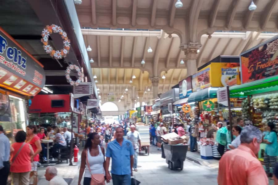 Private São Paulo City Tour - Price and value: paying for time, comfort, and admissions