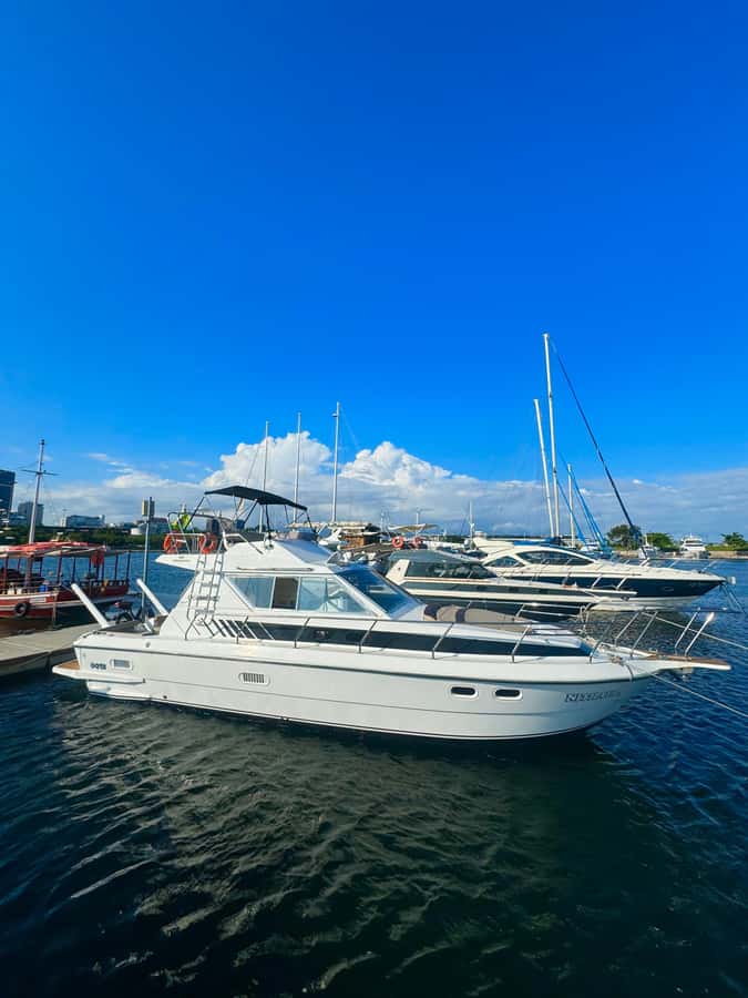 Private speedboat tour in Rio de Janeiro - Why a private speedboat in Rio feels different than sightseeing