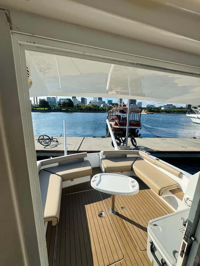 Private speedboat tour in Rio de Janeiro - Drinks and snacks: you control it, and that can be a win
