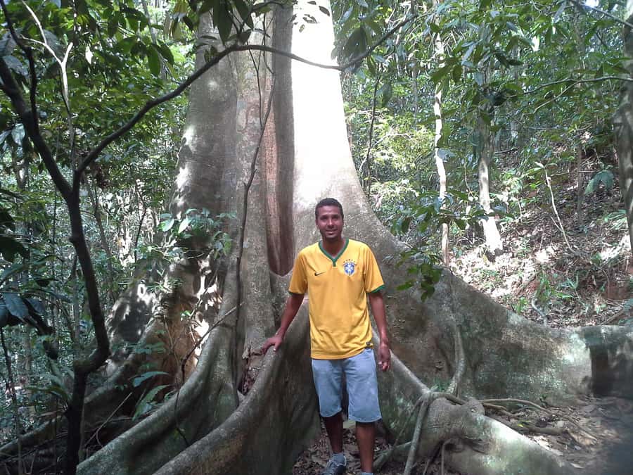 Private Tijuca Forest & Botanical Garden Guided Tour - Key highlights worth clocking