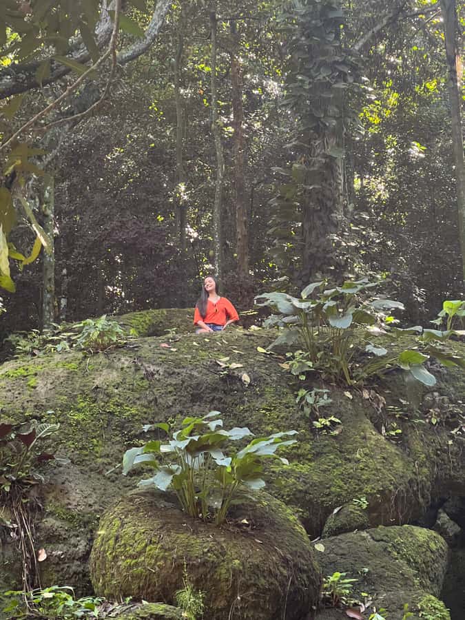 Private Tijuca Forest & Botanical Garden Guided Tour - Chinese Viewpoint at 388 meters: your first real taste of Rio