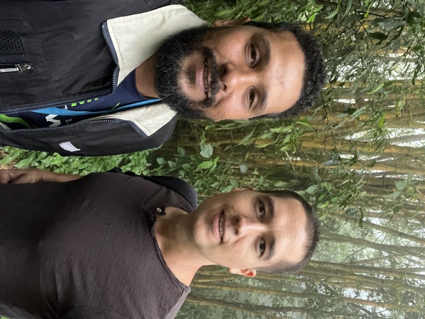Private Tijuca Forest & Botanical Garden Guided Tour - What you’re really paying for: guide time and door-to-door value