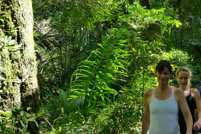 Private Tour - 5 Hours Customized Tour With a Local Guide in Rio - Stop 3: Prainha Beach, protected Atlantic Forest, and short hikes to lookouts