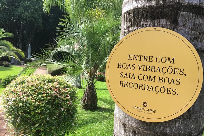 Private Tour Cave Geisse + 2 Wineries from Pinto Bandeira RS - Cave Geisse: The Sparkling-Wine Atmosphere That People Remember