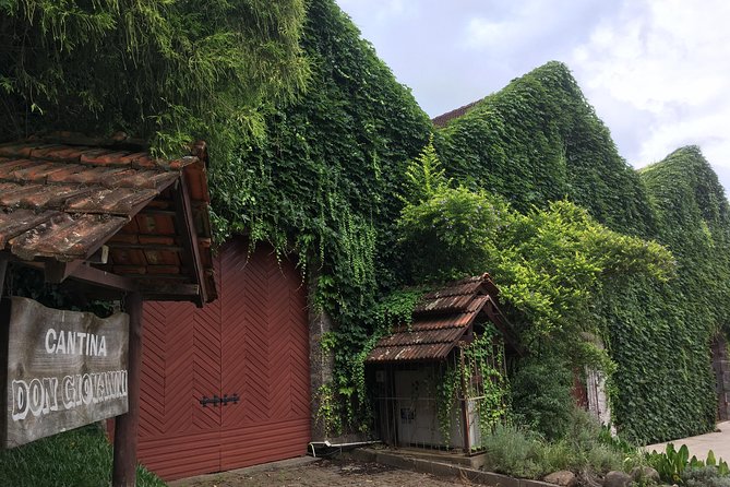 Private Tour Cave Geisse + 2 Wineries from Pinto Bandeira RS - What to Bring and How to Think About Meals and Alcohol