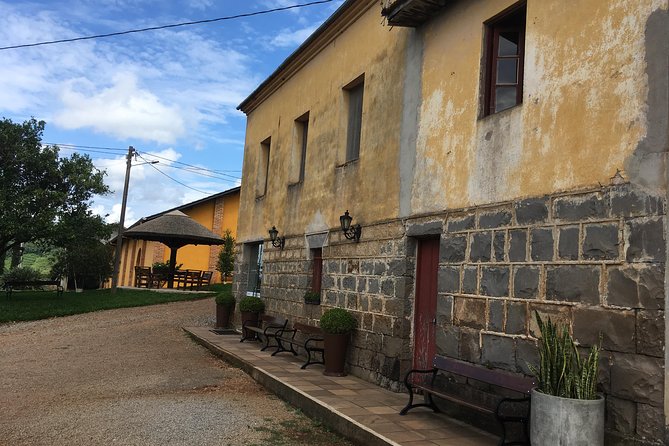 Private Tour Cave Geisse + 2 Wineries from Pinto Bandeira RS - Who This Tour Fits Best in Your Bento Gonçalves Plans
