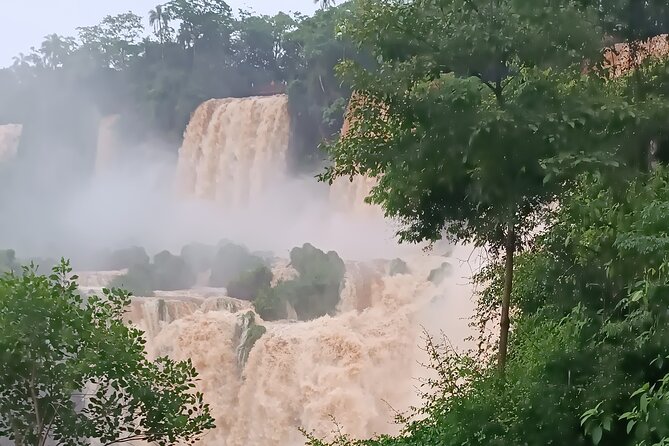 PRIVATE TOUR in Iguassu Falls on the Argentine side - Getting to the Action: The Eco-Friendly Train to Devil’s Gorge