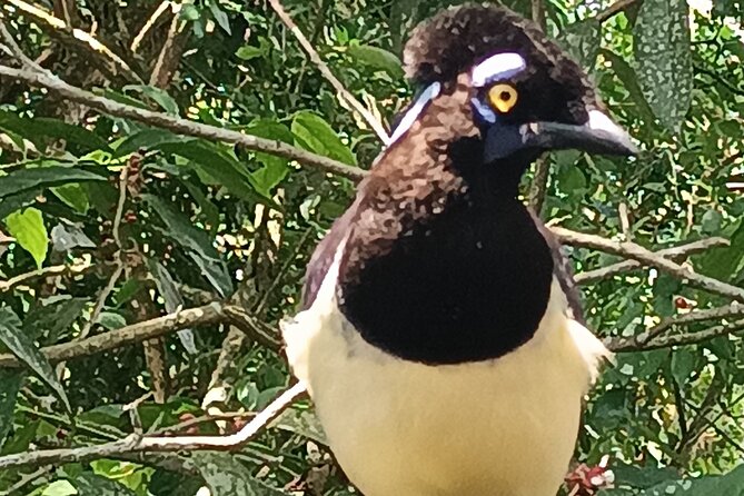 PRIVATE TOUR in Iguassu Falls on the Argentine side - Optional Boat Ride: When You Want to Get Properly Wet