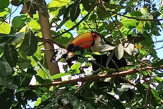 PRIVATE TOUR in Iguassu Falls on the Argentine side - What to Pack and How to Pace Yourself for a 7 Hour Falls Day