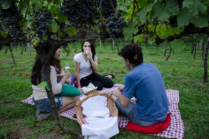 Private Tour of Family Wineries in Bento Gonçalves RS - Stop 2 in Bento Gonçalves, More Family Producers and Optional Shopping Time