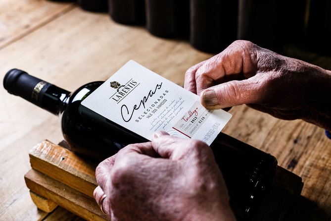 Private Tour of Family Wineries in Bento Gonçalves RS - Who This Tour Best Suits