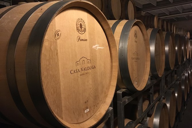 Private Tour of Family Wineries in Bento Gonçalves RS - Stop 1 in Vale dos Vinhedos, Boutique Family Wineries and Label-Quality Focus