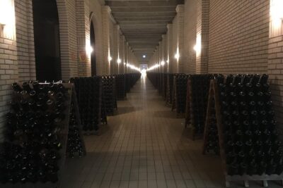 Private Tour of the Largest Wineries in Bento Gonçalves RS