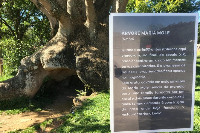 Private tour on Caminhos de Pedra in Bento Gonçalves RS - 4 Hours or 8 Hours: Picking the Right Version of the Route