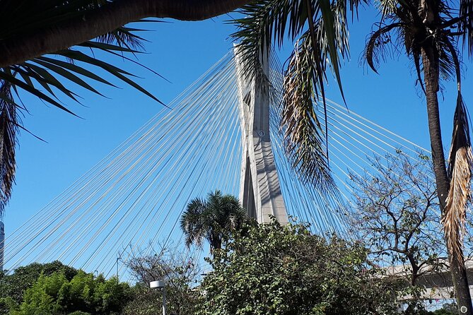 Private Transfer São Paulo Airport to Hotels with Quick City Tour - From Guarulhos to your hotel, minus the first-day stress