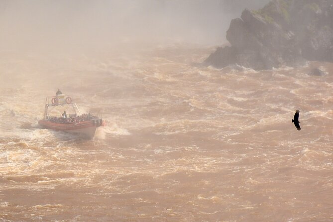 Private transport with guide to the Falls on the Argentinean side. - Private Pickup and the Brazil-to-Argentina Border Moment