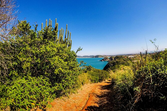 Private Walk through the Natural Pools in Búzios - Meeting Point in Village da Ferradura, and How the Timing Works