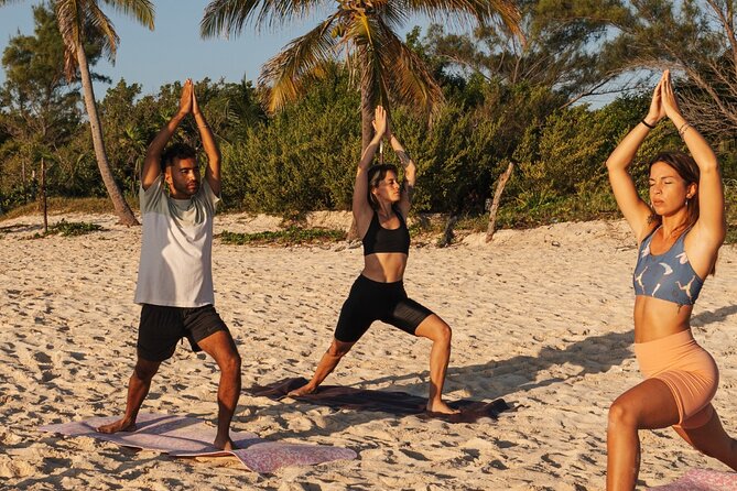 Private Yoga experience at the Floripa Beaches in Brazil - Key things to know before you go