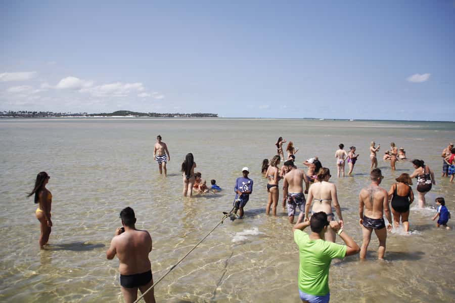 Recife: Carneiros Beach Day Tour - The one timing detail that can change how you feel about the day