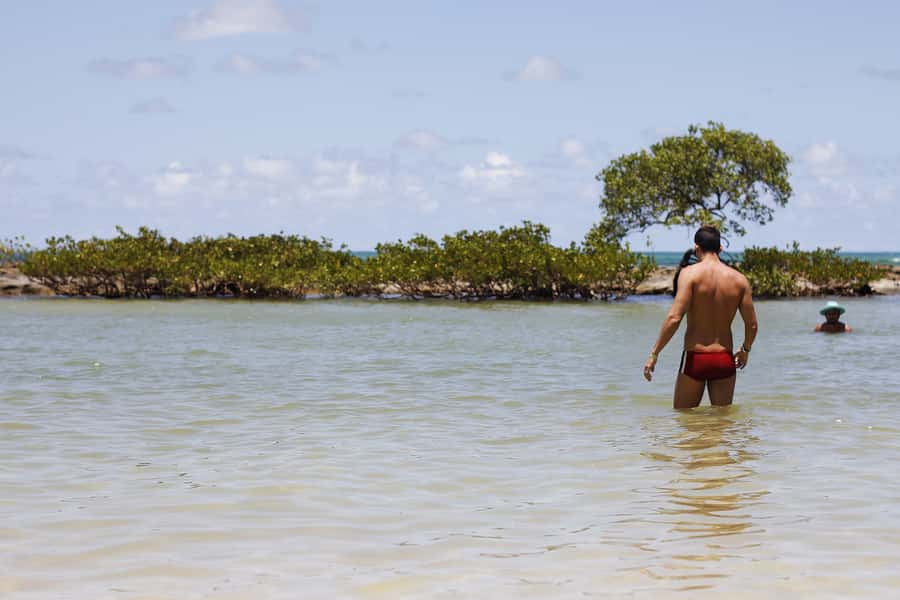 Recife: Carneiros Beach Day Tour - The Recife to Carneiros drive: know the distance and plan mentally