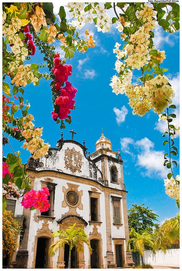 Recife & Olinda City Tour: Unveiling the Charm of Two Cities - Republic Square and Casa da Cultura: Culture in a Former Prison