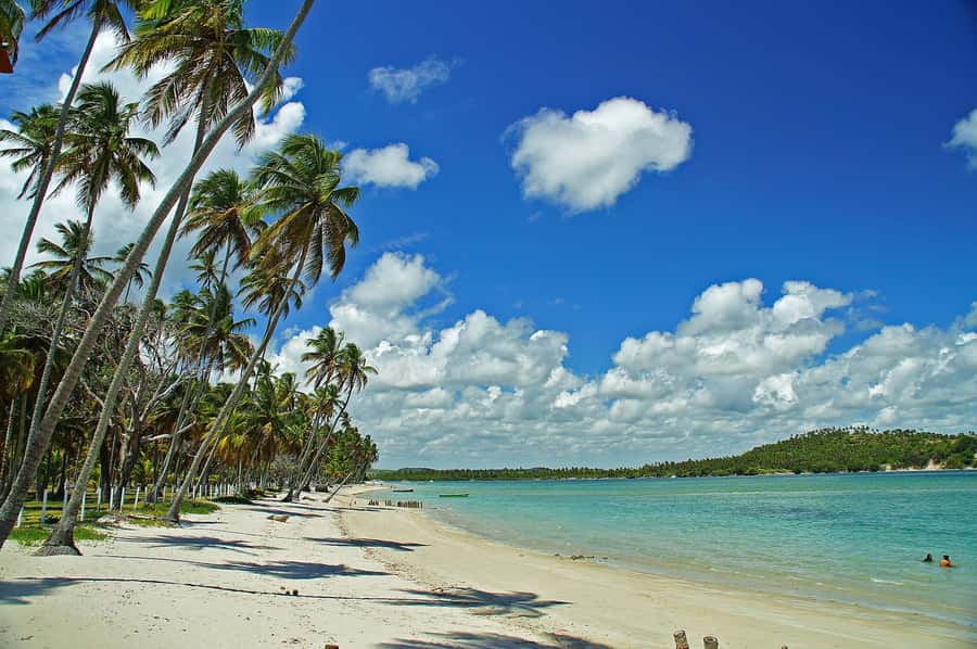 Recife: Tour to Carneiros with Catamaran Ride - Key highlights worth your attention