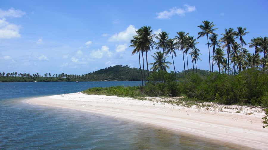 Recife: Tour to Carneiros with Catamaran Ride - Carneiros Beach: the quick escape beyond Recife