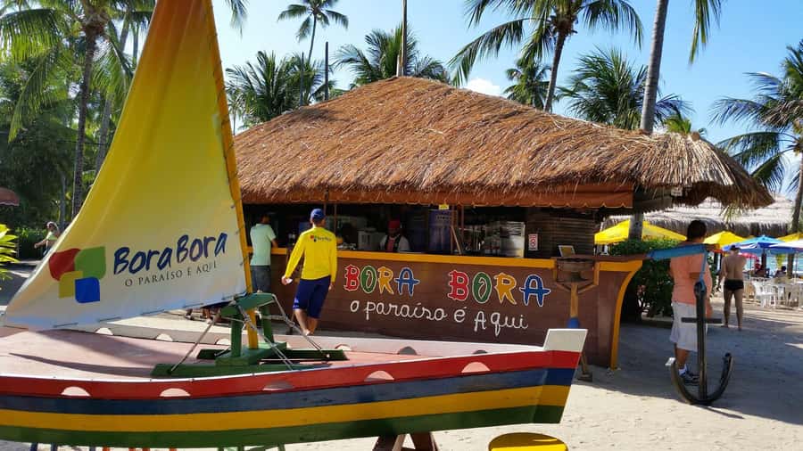 Recife: Tour to Carneiros with Catamaran Ride - Who this tour is best for