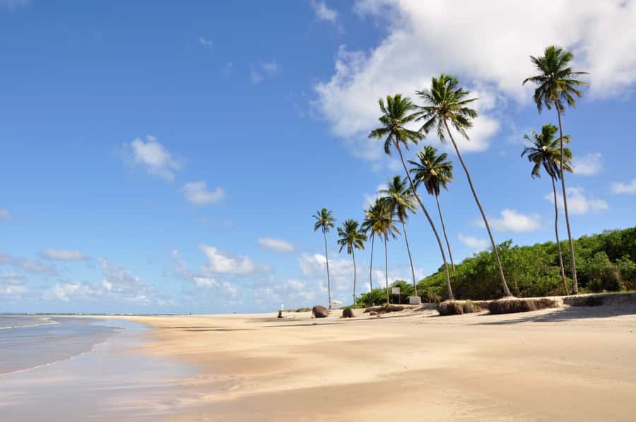 Recife: Tour to Porto de Galinhas - Key Points to Know Before You Go