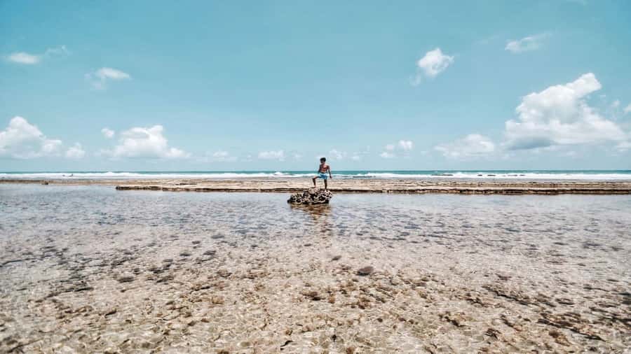 Recife: Tour to Porto de Galinhas - Your Main Block of Time: What You Can Do in Porto de Galinhas