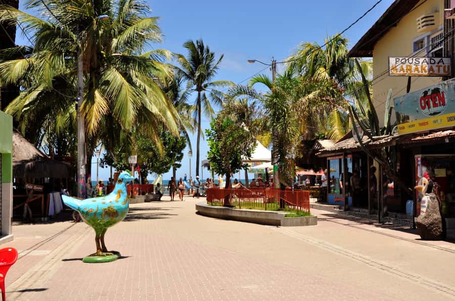 Recife: Tour to Porto de Galinhas - Food and Drinks: What’s Included, What You Should Budget