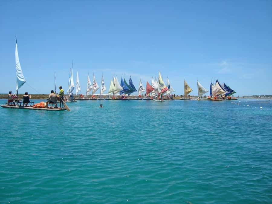 Recife: Tour to Porto de Galinhas - Price and Value: Why $32 Can Make Sense