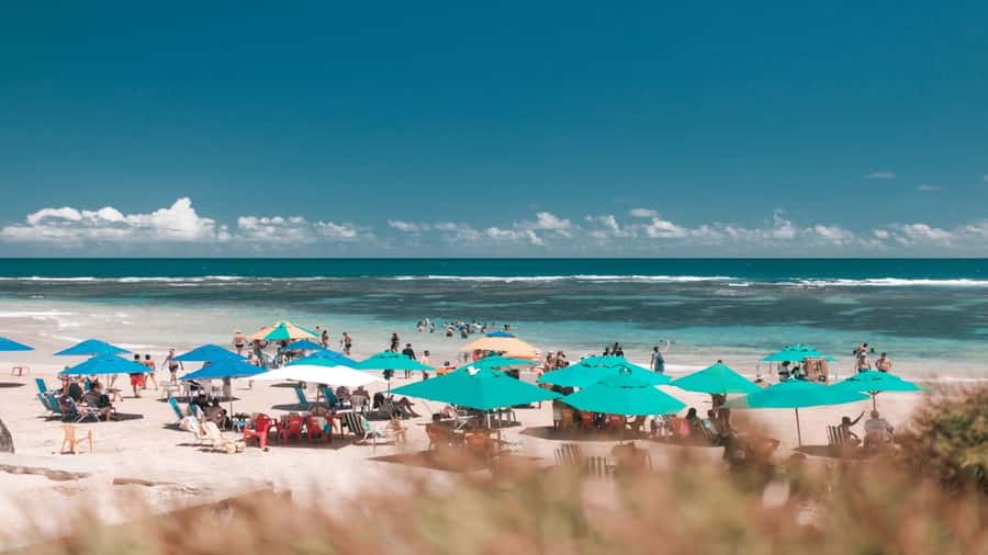 Recife: Tour to Porto de Galinhas - The Operator Setup: Tangol and What You Should Expect