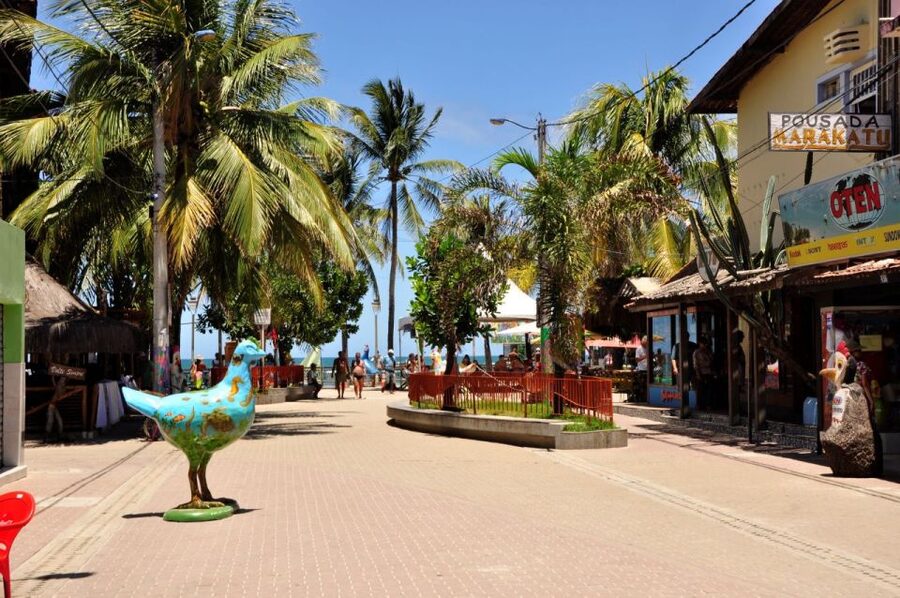 Recife: Tour to Porto de Galinhas - Who This Tour Fits Best