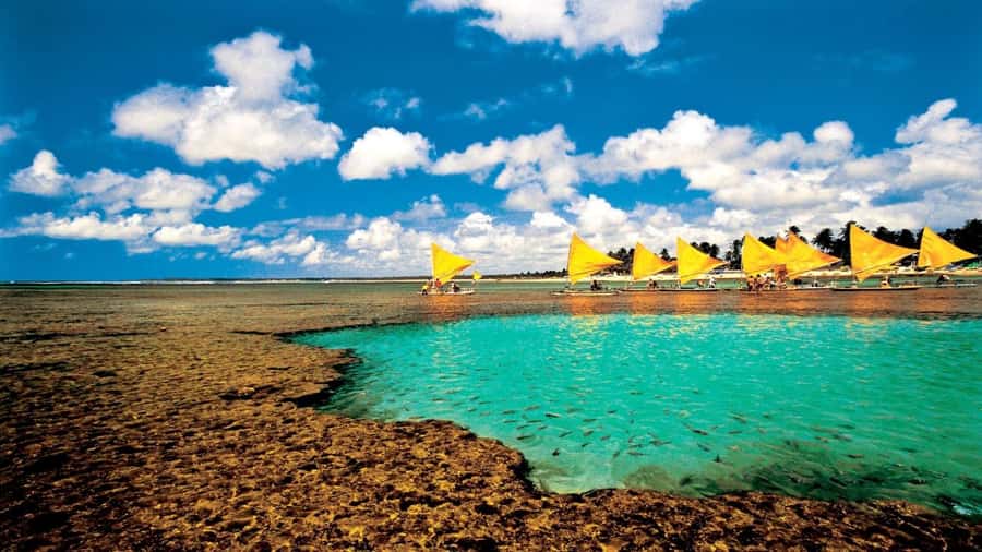Recife: Tour to Porto de Galinhas - Getting There by Van: Timing That Lets You Enjoy the Coast