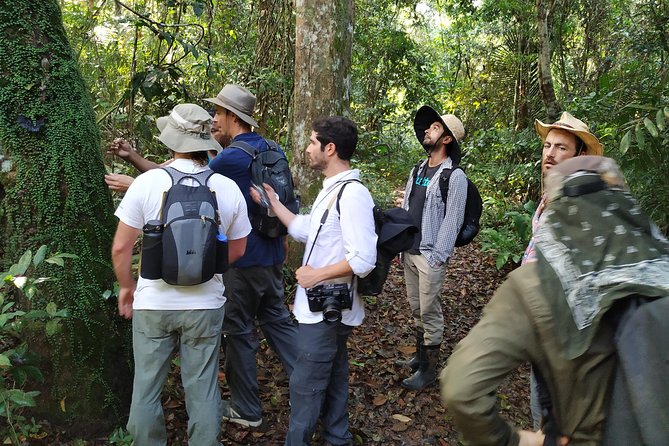 Regional Cruise in the Amazon - Key highlights to know before you go