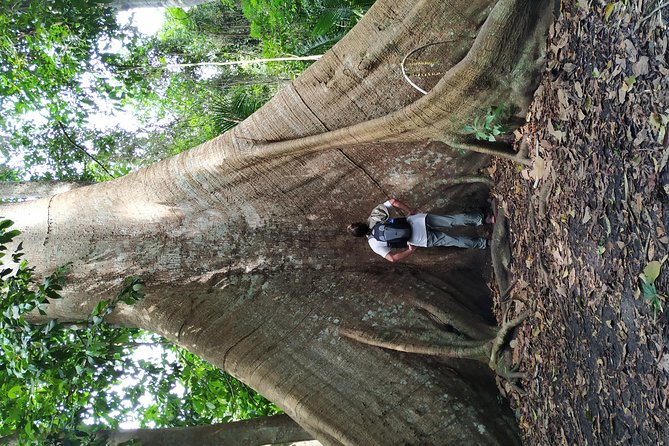 Regional Cruise in the Amazon - Why this 4-day Amazon cruise from Santarém feels different