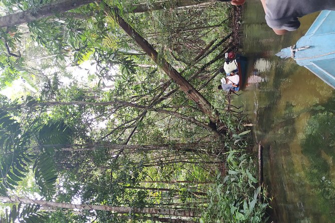 Regional Cruise in the Amazon - Floresta Nacional dos Tapajós: nature time with structure