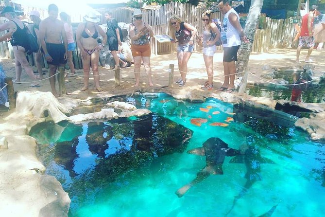 Regular Tour to Forte Beach - Leaving Salvador by Bahia Top Turismo - Price and Value: What $27.44 Buys You