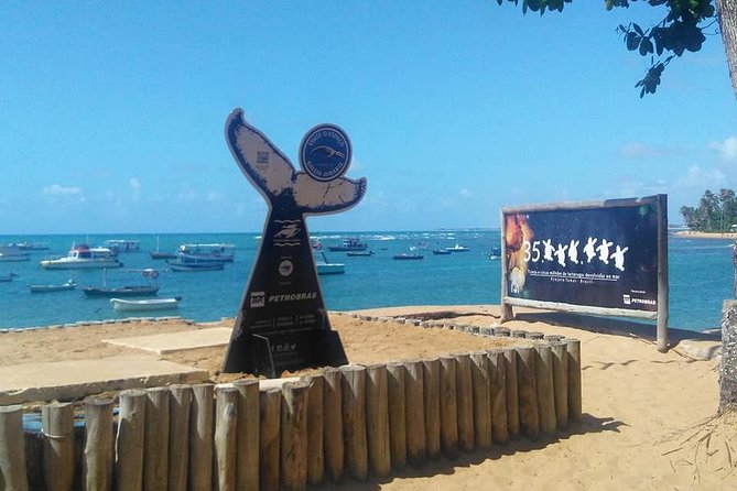 Regular Tour to Forte Beach - Leaving Salvador by Bahia Top Turismo - Praia de Guarajuba: Beach Time That’s Actually Scheduled