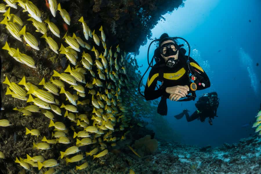 Rio: Best Dive Experience All Inclusive Scuba Diving Package - Key highlights worth getting excited about