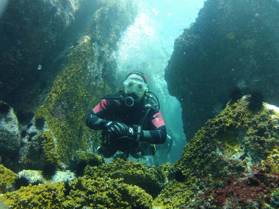 Rio: Best Dive Experience All Inclusive Scuba Diving Package - Arraial do Cabo From Rio: What Makes This Coast Run Worth Your Time