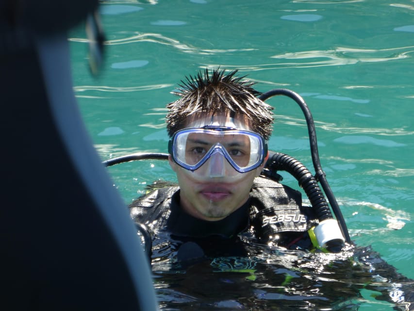 Rio: Best Dive Experience All Inclusive Scuba Diving Package - Guided Underwater Wildlife: Turtles, Rays, and Colorful Fish