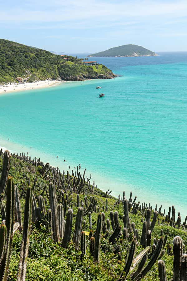 Rio: Best Dive Experience All Inclusive Scuba Diving Package - Cost and Value: Is 240 USD a Good Deal for This Package?